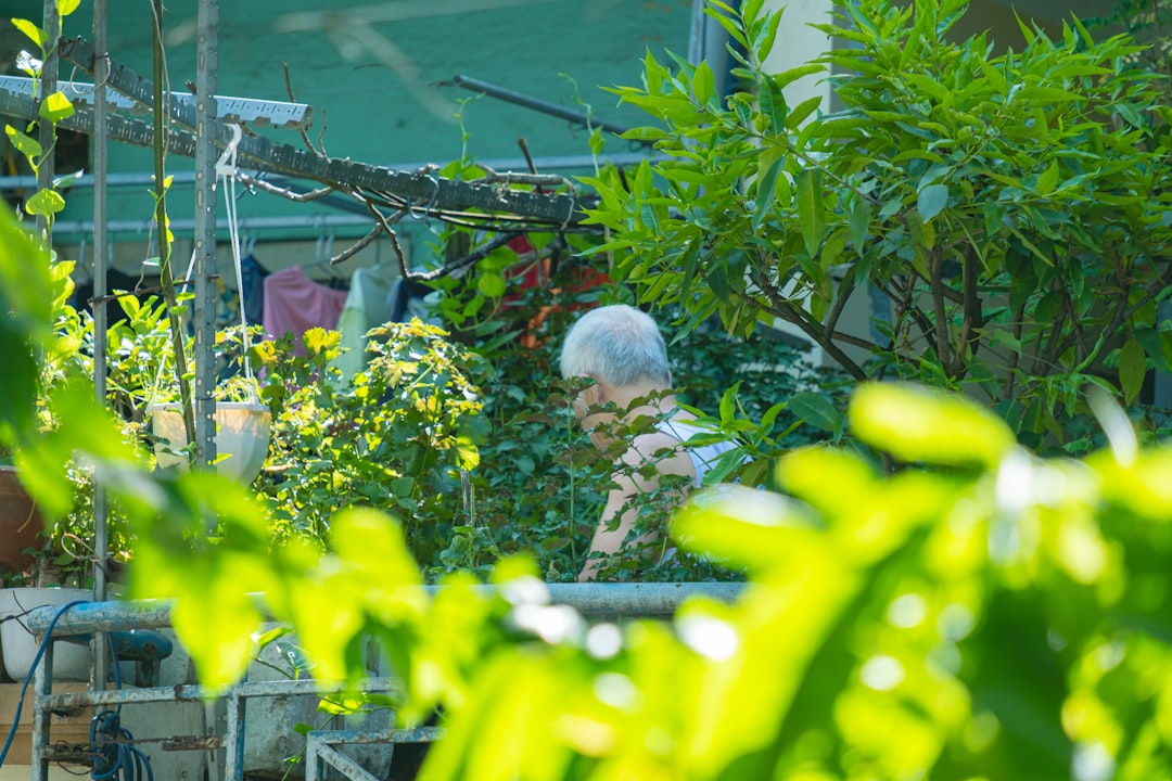a person in a greenhouse