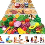 Featured image for When Was the Flexitarian Diet Created The Surprising Origins Revealed 2025