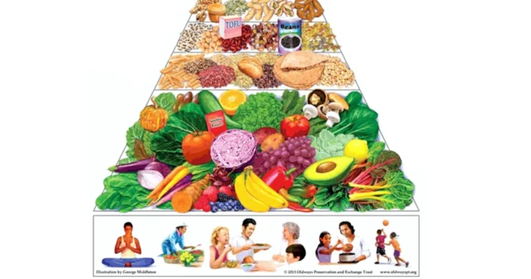 Featured image for When Was the Flexitarian Diet Created The Surprising Origins Revealed 2025