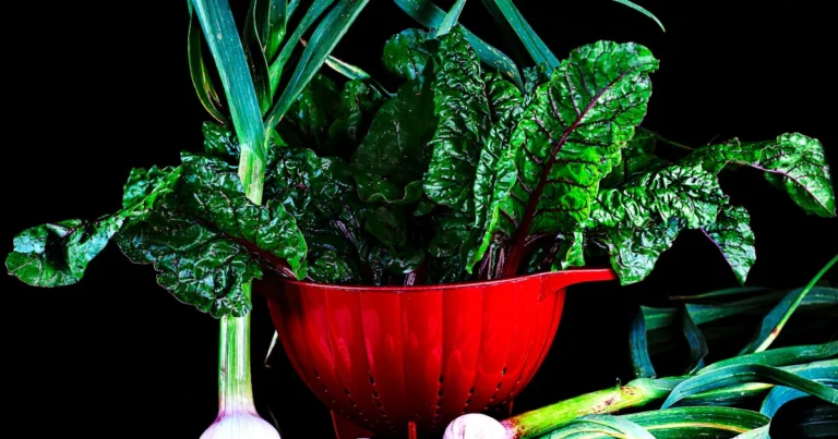 Featured image for Plant-Based Diet vs Flexitarian Diet 12 Surprising Facts 2025