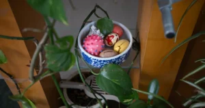 Featured image for What Fruits Do Blue Zones Eat 12 Longevity Superstars 2026